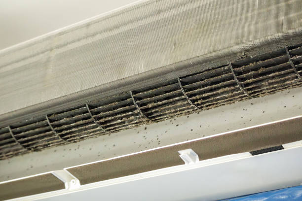 Affordable HVAC Duct Cleaning in TX